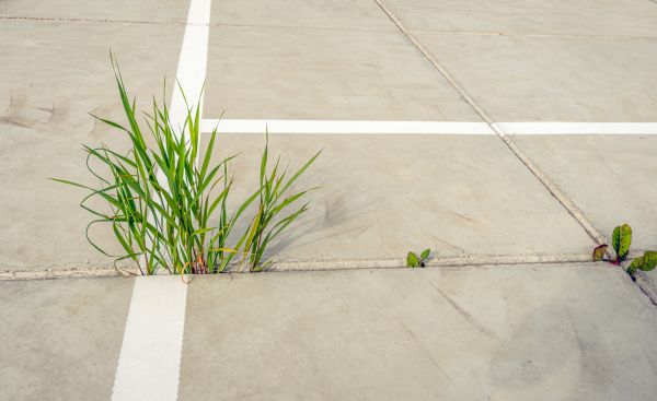 Concrete Parking Installation in Omaha